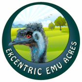 Ekcentric Emu Acres